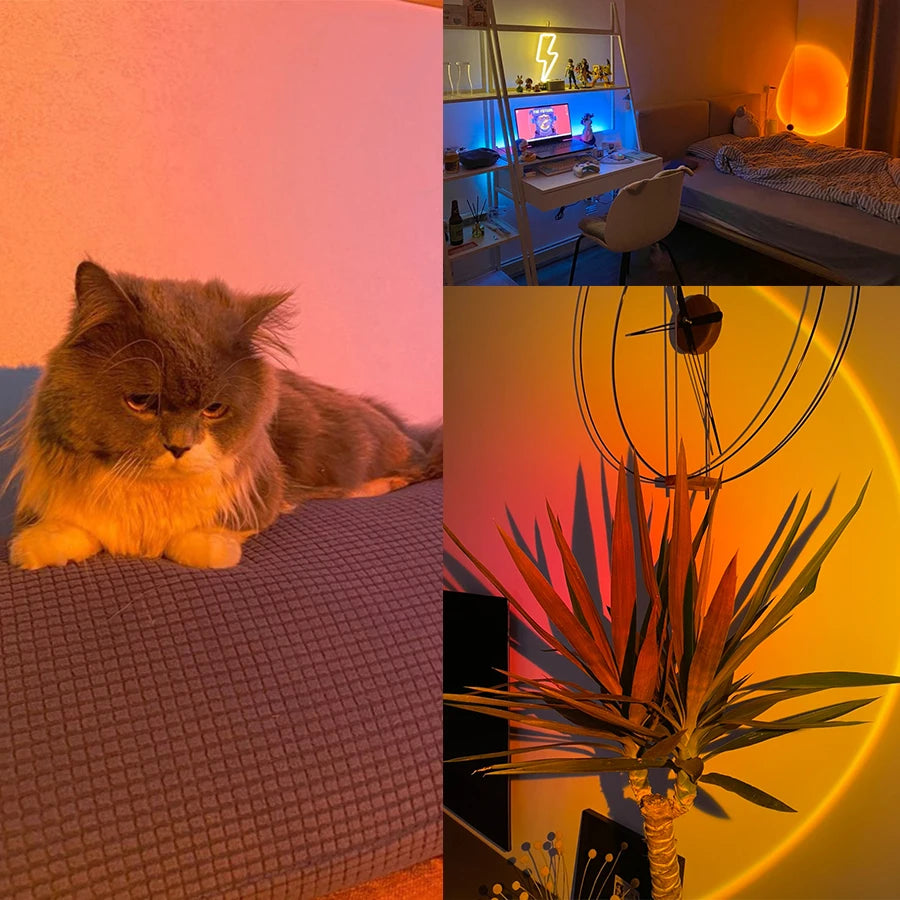 Décoration de bureau